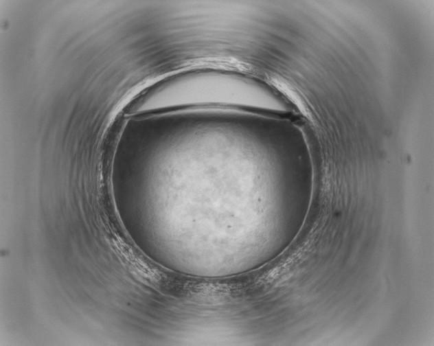 X0000087030923200704301335