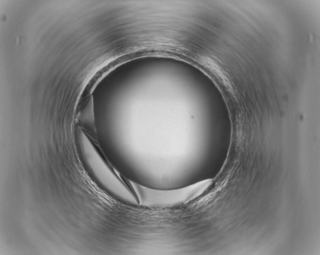 X0000087030924200704301335
