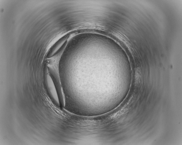 X0000087030925200704301335