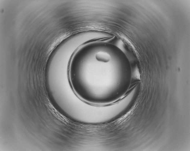 X0000087030930200704301335