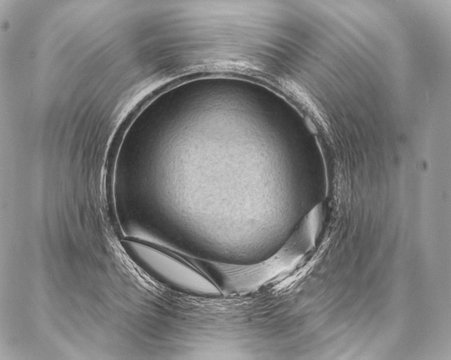X0000087030932200704301335