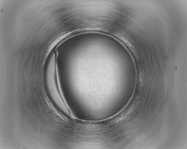 X0000087030933200704301335