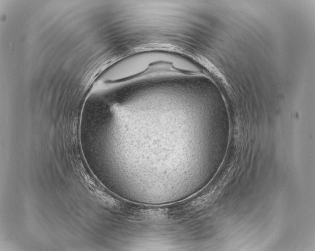 X0000087030937200704301336