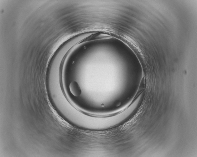 X0000087030942200704301336