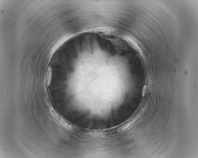 X0000087030952200704301336
