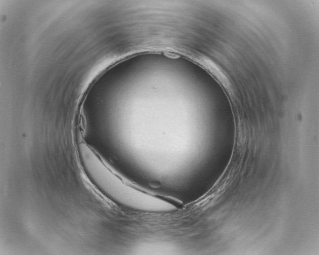 X0000087030958200704301336
