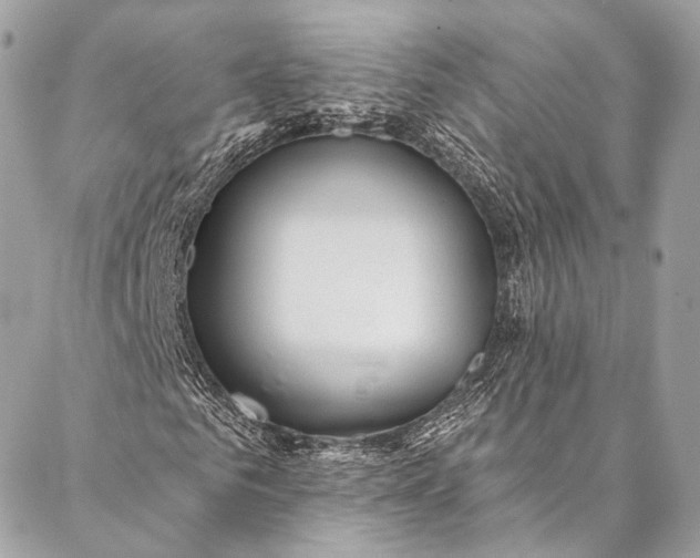 X0000087030961200704301335