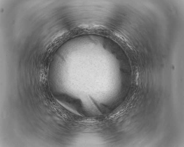 X0000087030966200704301335