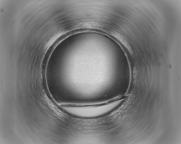 X0000087030972200704301335