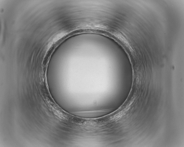 X0000087030974200704301335
