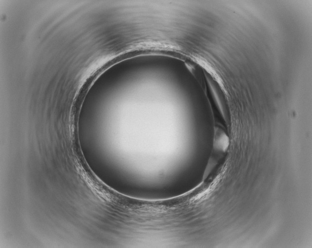 X0000087030981200704301335