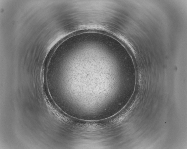 X0000087030983200704301335