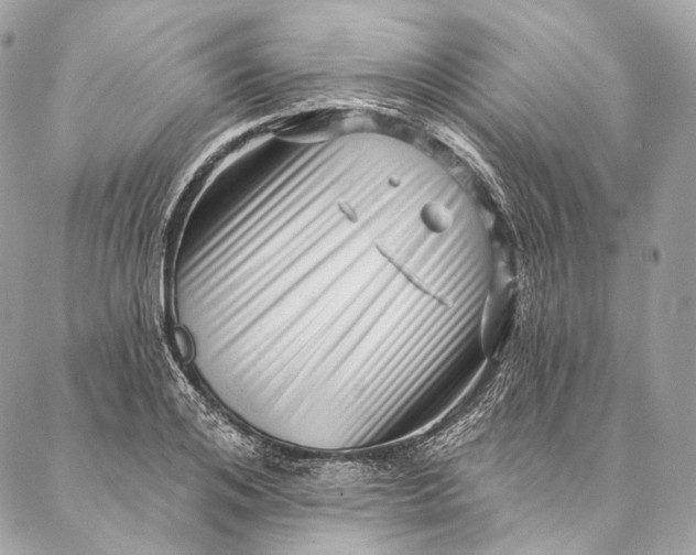 X0000087030984200704301335