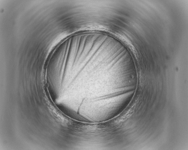 X0000087030990200704301335