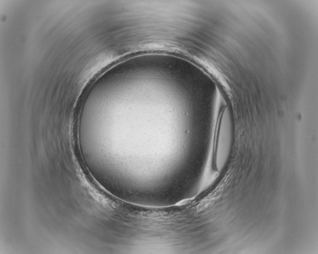 X0000087030991200704301335