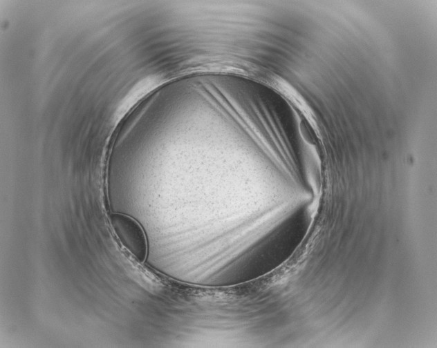 X0000087031002200704301334