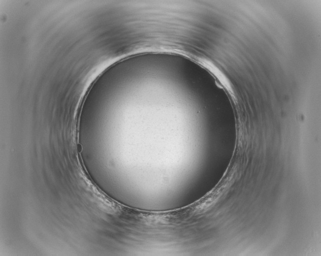 X0000087031004200704301334
