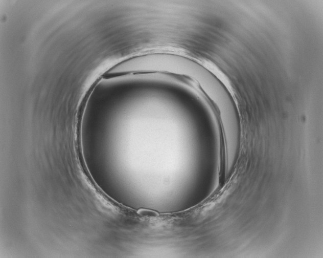 X0000087031005200704301334