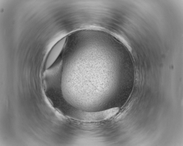 X0000087031007200704301334