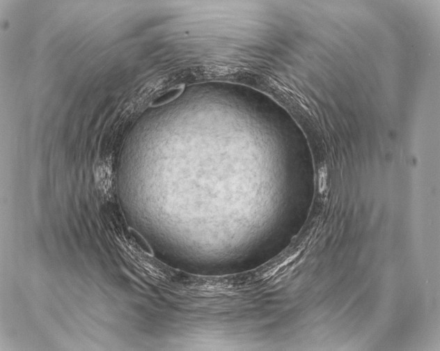 X0000087031011200704301334