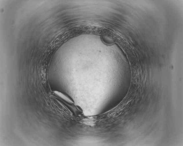 X0000087031013200704301334
