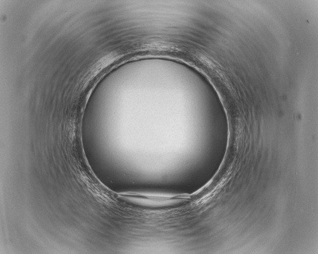 X0000087031017200704301334