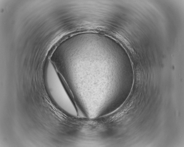 X0000087031023200704301334
