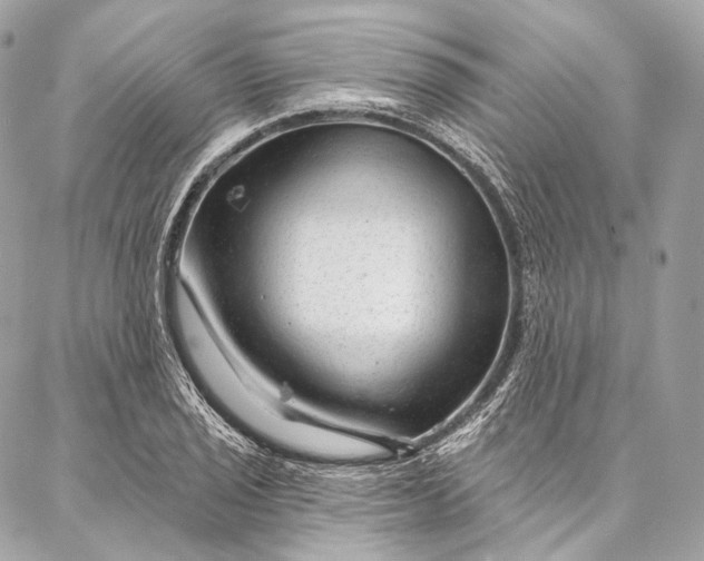 X0000087031029200704301334