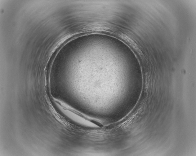 X0000087031031200704301334