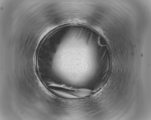 X0000087031032200704301334