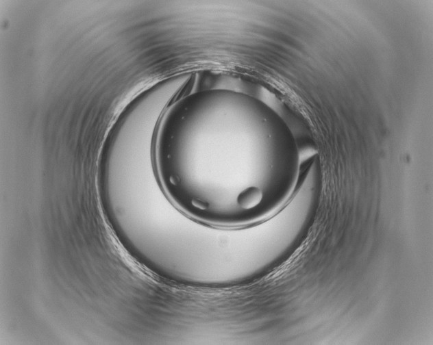 X0000087031034200704301334