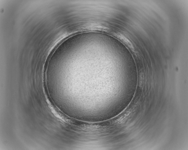 X0000087031039200704301334