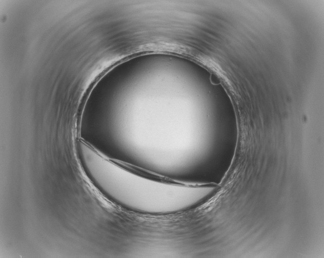 X0000087031040200704301334