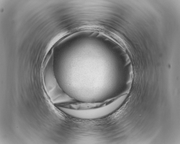 X0000087031050200704301334