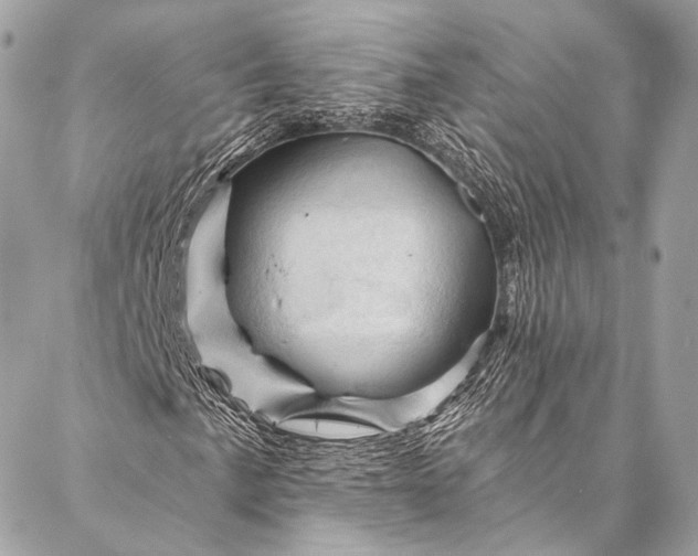 X0000087031057200704301334