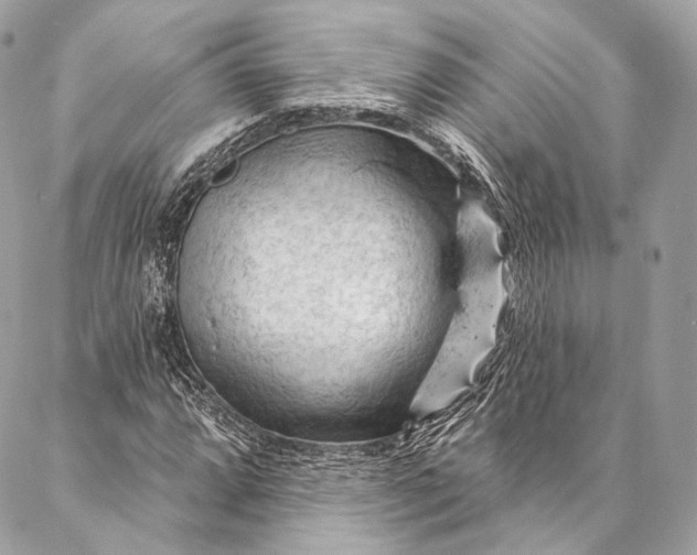 X0000087031064200704301333