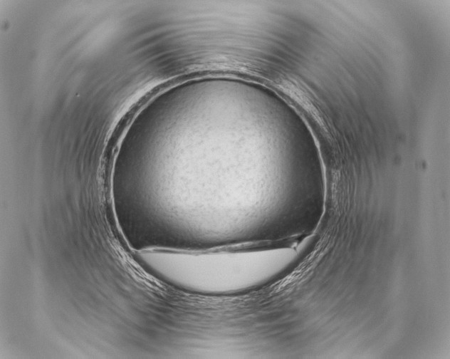 X0000087031068200704301333