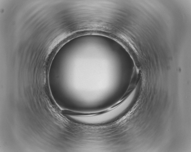 X0000087031069200704301333