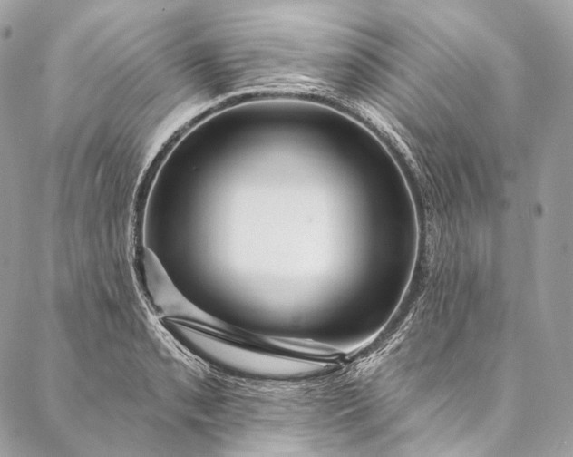 X0000087031085200704301333