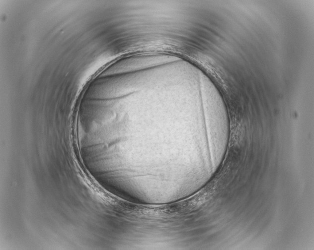 X0000087031086200704301333