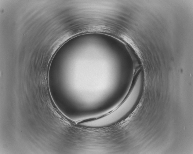 X0000087031089200704301333