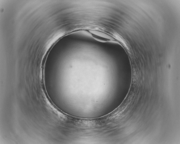 X0000087031095200704301333