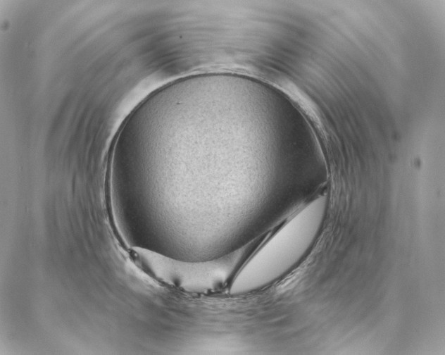 X0000087031102200704301333