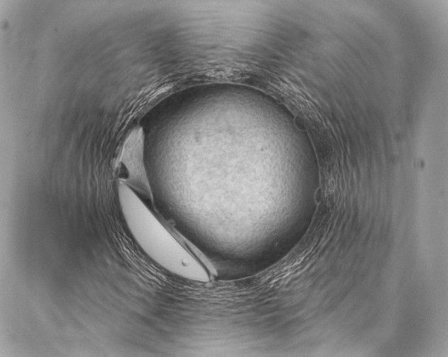 X0000087031106200704301332