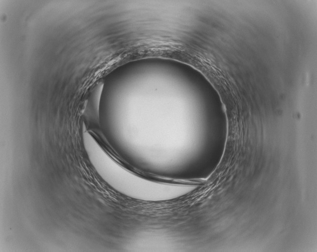 X0000087031109200704301332