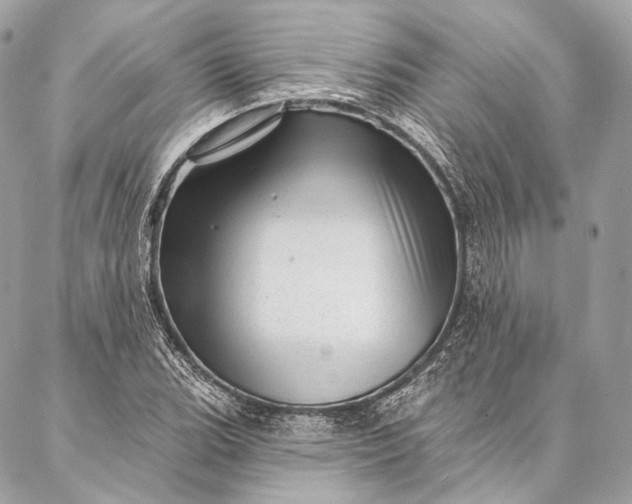 X0000087031119200704301332