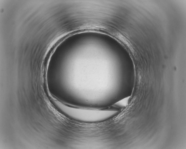 X0000087031124200704301332