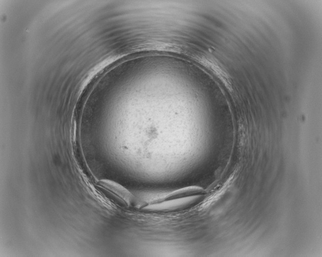 X0000087031125200704301332