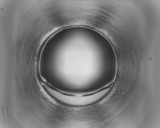 X0000087031134200704301333