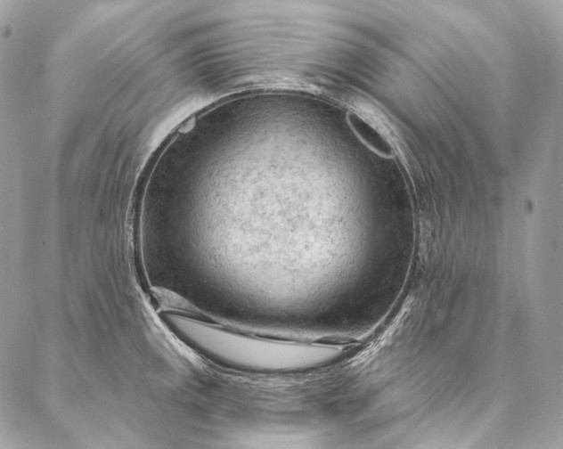 X0000087031141200704301333